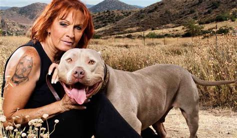 pit bulls and parolees tia.